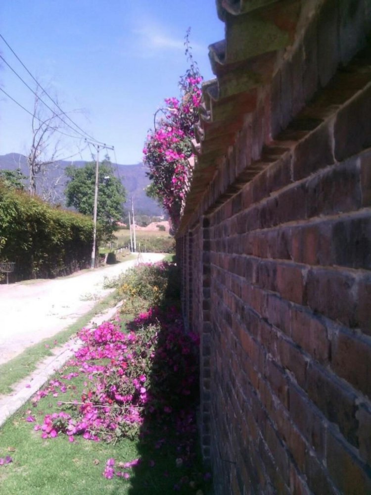 5 bedrooms House in Bogota, Colombia No. 14532