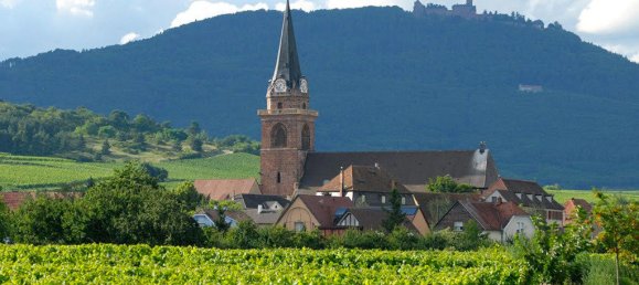 Studio in Colmar, France No. 255088 3