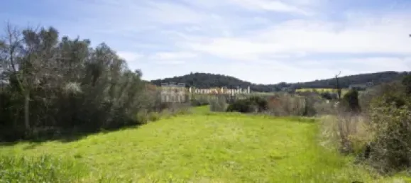 6 غرف نوم منزل في Girona, Spain رقم 151602 38