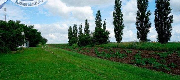 1 bedroom House in Grossharras, Austria No. 217875 12