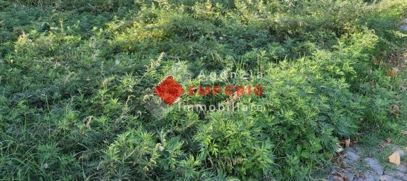 Grundstück in Vicopisano, Italy 705m², Nr. 149494 2