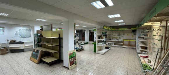 Almacén en Werra-Meisner, Germany 9520 m² No. 285549 15