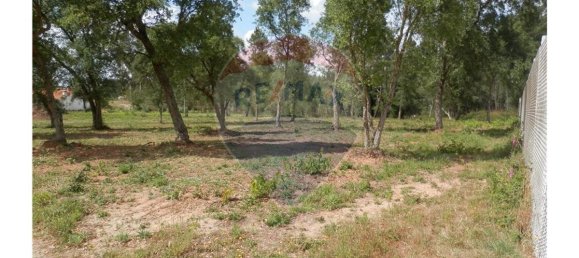 4152m² Land in Anadia, Portugal No. 66040 5