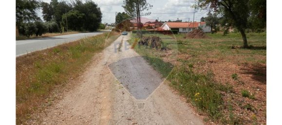 4152m² Land in Anadia, Portugal No. 66040 8