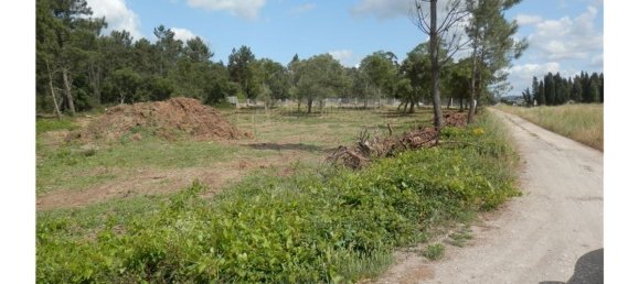 4152m² Land in Anadia, Portugal No. 66040 4