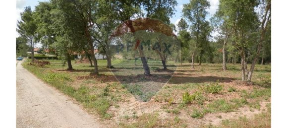 4152m² Land in Anadia, Portugal No. 66040 6