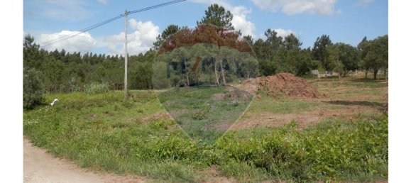 4152m² Land in Anadia, Portugal No. 66040 2