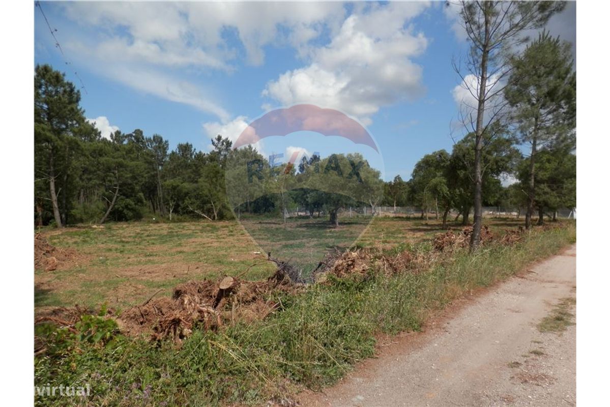 4152m² Land in Anadia, Portugal No. 66040