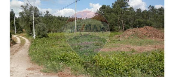 4152m² Land in Anadia, Portugal No. 66040 3