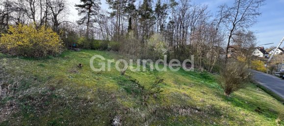 Дом с 6 комнатами в Хасберге, Германия № 140929 32