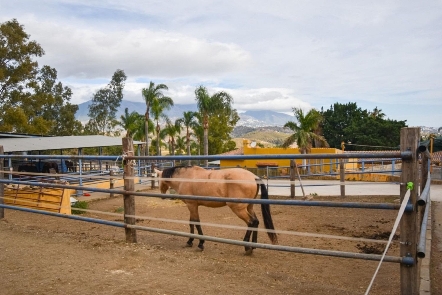 Дом с 6 спальнями в Михас, Испания № 85551