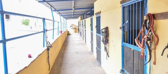 Дом с 6 спальнями в Михас, Испания № 85551 12