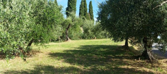 2190m² Land in Torrita di Siena, Italy No. 254838 4