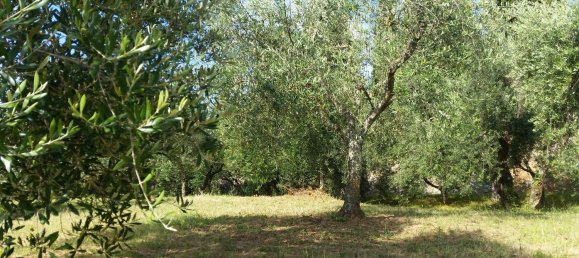 2190m² Land in Torrita di Siena, Italy No. 254838 2