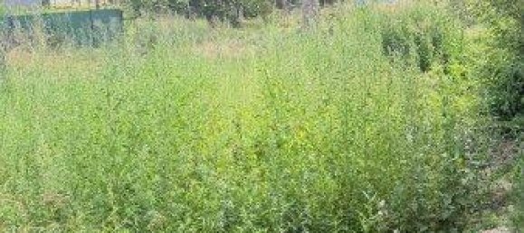 774m² Land in Vienna, Austria No. 136035 12