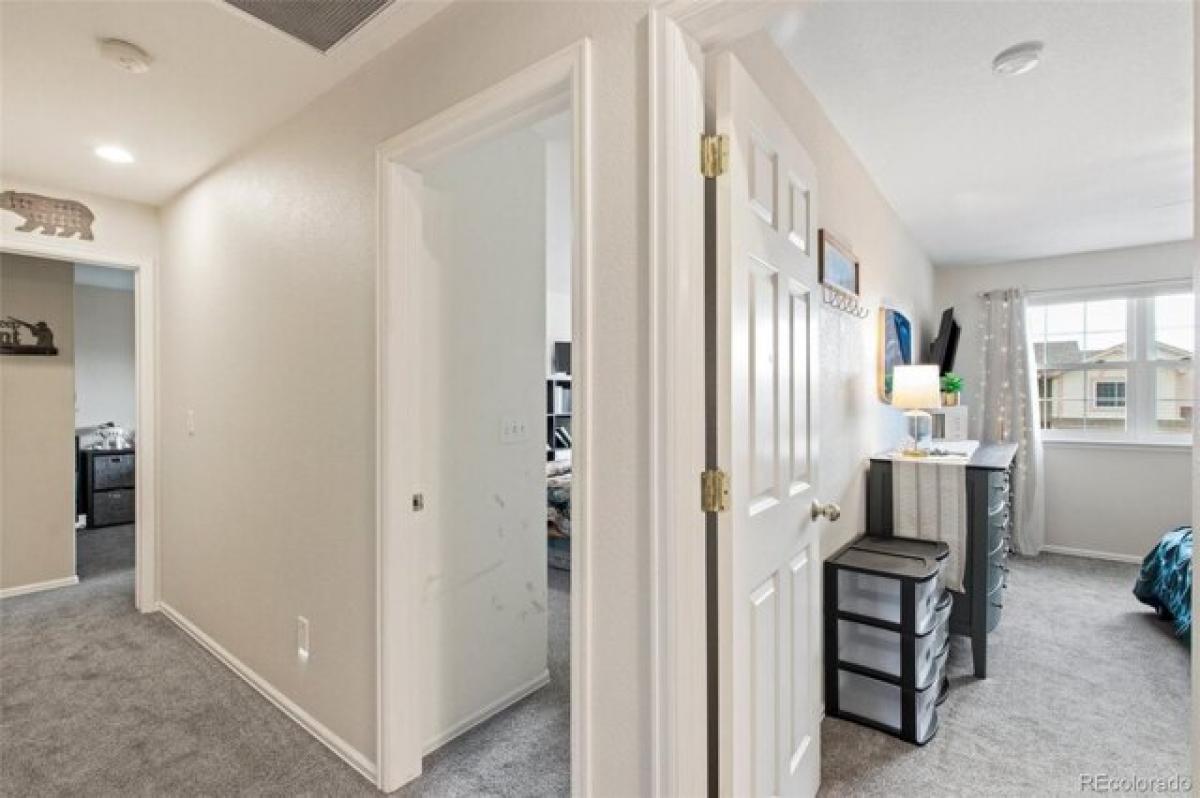 4 bedrooms House in Colorado Springs, USA No. 437532