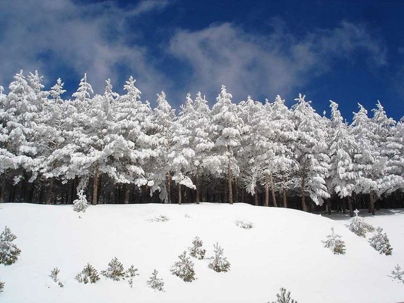 66m² Commercial property in Sierra Nevada, Spain No. 225135