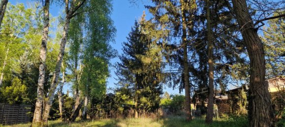  Land in Oberhavel, Germany No. 270305 2