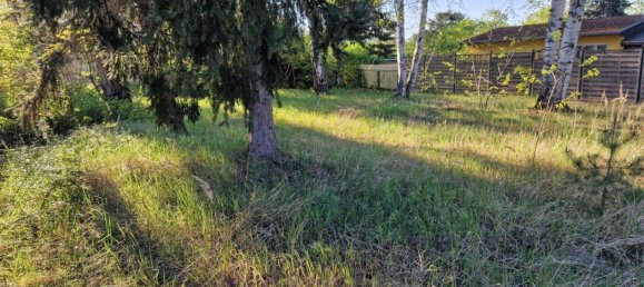  Land in Oberhavel, Germany No. 270305 10