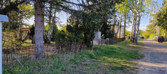  Land in Oberhavel, Germany No. 270305 5