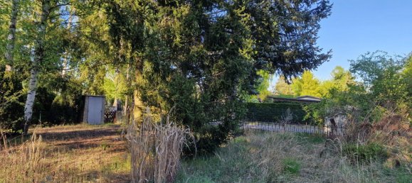  Land in Oberhavel, Germany No. 270305 3