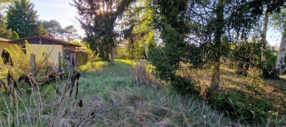  Land in Oberhavel, Germany No. 270305 7