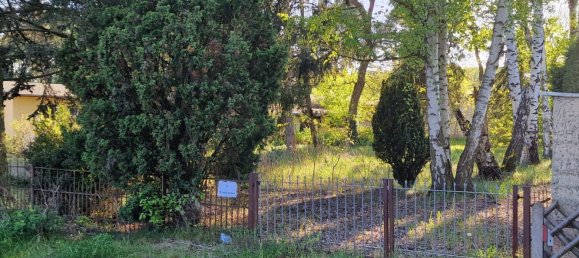  Land in Oberhavel, Germany No. 270305 8