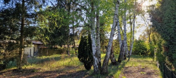  Land in Oberhavel, Germany No. 270305 9