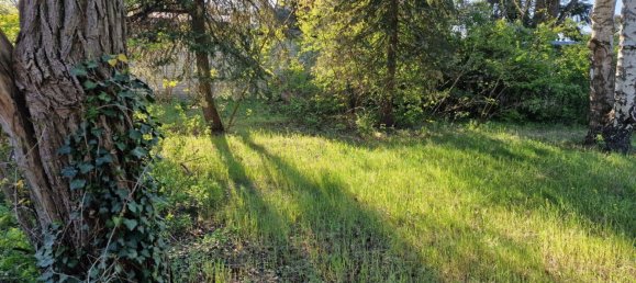  Land in Oberhavel, Germany No. 270305 6