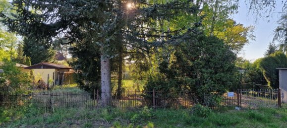  Land in Oberhavel, Germany No. 270305 11