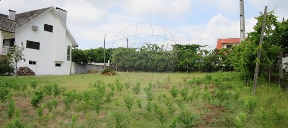 Grundstück in Vale de Bouro, Portugal 450m², Nr. 41070 5