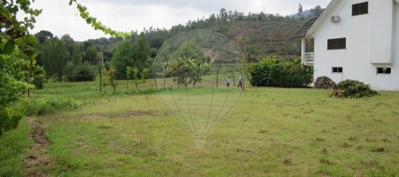 Grundstück in Vale de Bouro, Portugal 450m², Nr. 41070 12