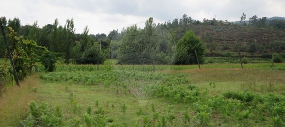 Grundstück in Vale de Bouro, Portugal 450m², Nr. 41070 4