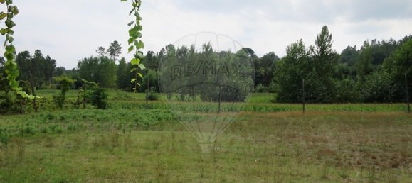 Grundstück in Vale de Bouro, Portugal 450m², Nr. 41070 2