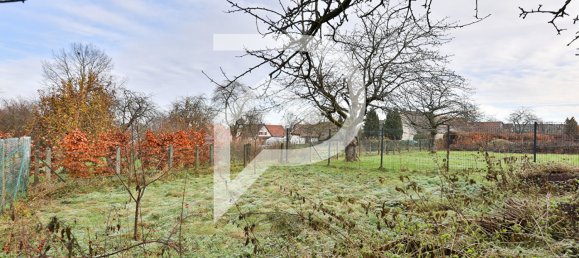 4 bedrooms House in Muespach-le-Haut, France No. 39494 14