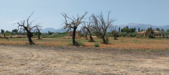 5 غرف نوم منزل في Inca, Spain رقم 159798 9