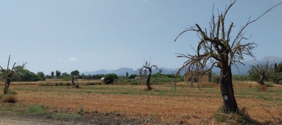 5 غرف نوم منزل في Inca, Spain رقم 159798 8