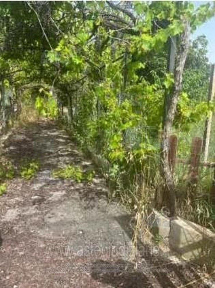 3-salle Maison à Velletri, Italy No. 30064