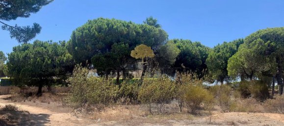 Grundstück in Almancil, Portugal, Nr. 107406 5