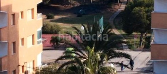 2 Schlafzimmer Wohnung in Guardamar del Segura, Spain, Nr. 28459 13