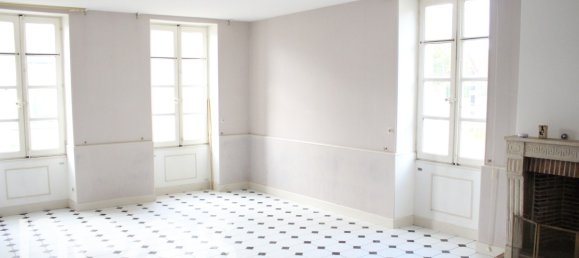 7 Schlafzimmer Stadthaus in Chateauneuf-sur-Cher, France, Nr. 57575 3
