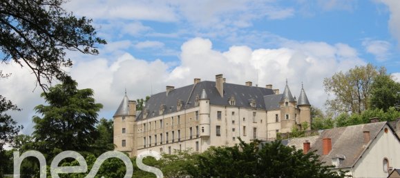 7 Schlafzimmer Stadthaus in Chateauneuf-sur-Cher, France, Nr. 57575 20