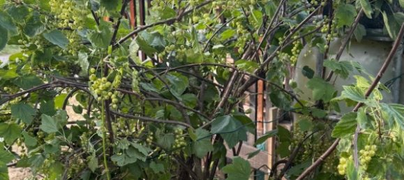 Land in Esslingen, Germany No. 292305 7