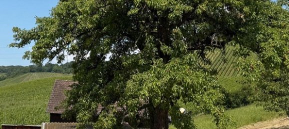 Land in Esslingen, Germany No. 292305 4