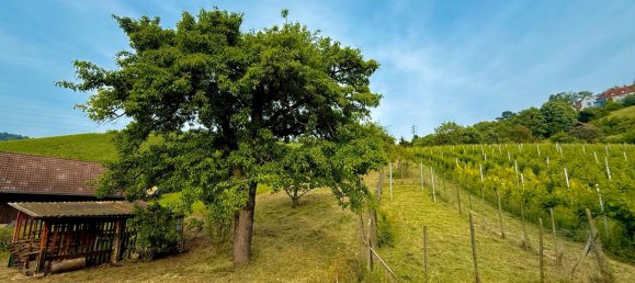 Land in Esslingen, Germany No. 292305 12