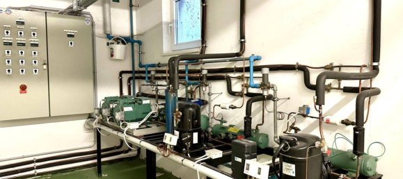 Коммерческая недвижимость 275м² в Гунскирхен, Австрия № 164539 23