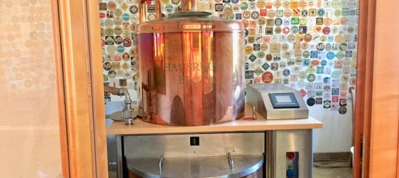 Коммерческая недвижимость 275м² в Гунскирхен, Австрия № 164539 16