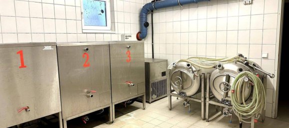 Коммерческая недвижимость 275м² в Гунскирхен, Австрия № 164539 26