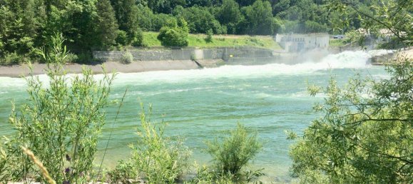 Коммерческая недвижимость 275м² в Гунскирхен, Австрия № 164539 37