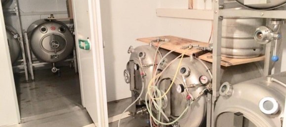 Коммерческая недвижимость 275м² в Гунскирхен, Австрия № 164539 24